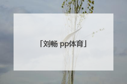 「刘畅 pp体育」刘畅pp体育腿