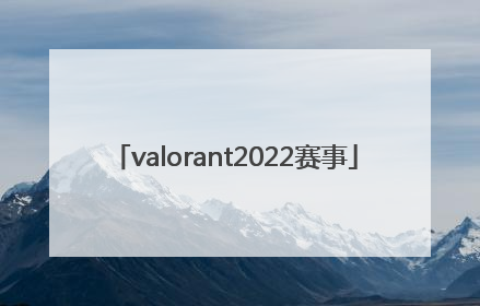 「valorant2022赛事」valorant2022冠军套多少钱