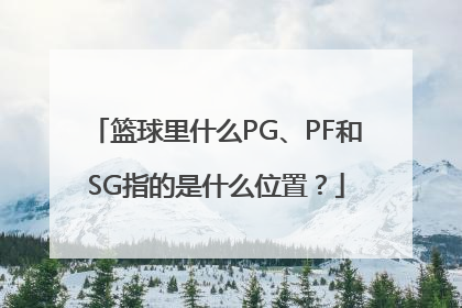 篮球里什么PG、PF和SG指的是什么位置？