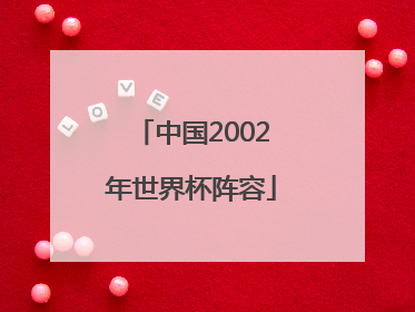「中国2002年世界杯阵容」2002中国队世界杯阵容