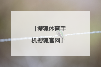 「搜狐体育手机搜狐官网」nba搜狐搜狐体育