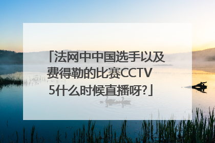 法网中中国选手以及费得勒的比赛CCTV5什么时候直播呀?