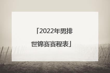 2022年男排世锦赛赛程表