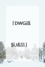「DWG战队成员」dwg战队成员资料